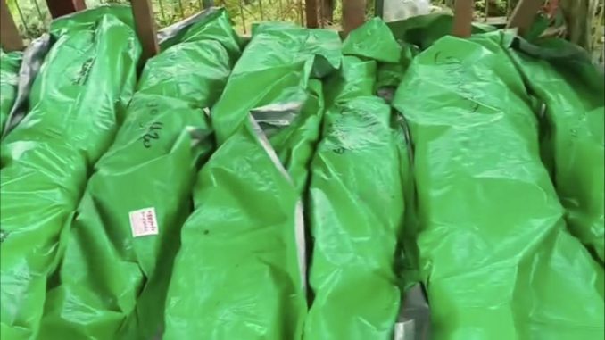 535011632_1132424132318525_8093442613643793424_n