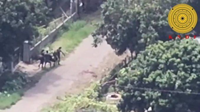 561326809_1179065927654345_4578095398914708805_n