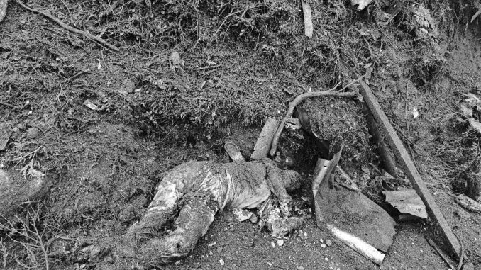 561364801_1182324673995137_8471986283506915171_n