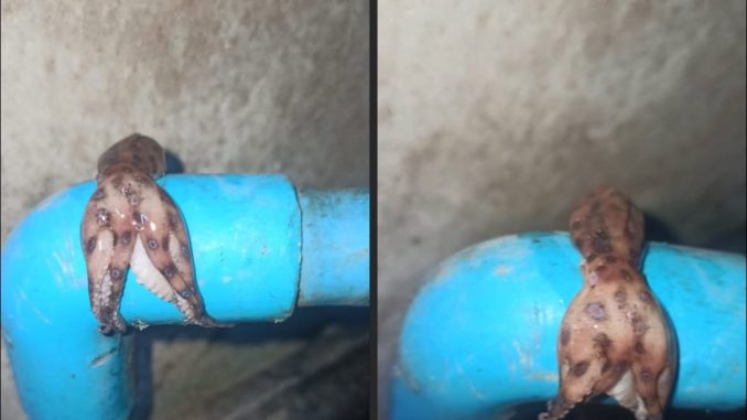 571246054_672645192582681_4742221887371240077_n